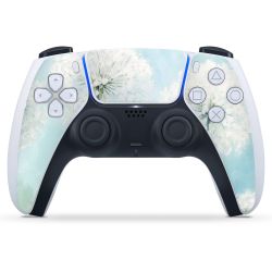 Foils for Controller matt