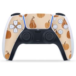 Foils for Controller matt