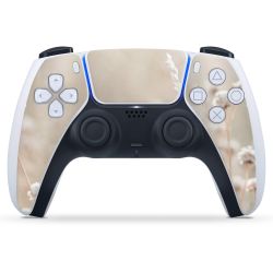 Foils for Controller matt