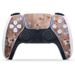 Foils for Controller matt