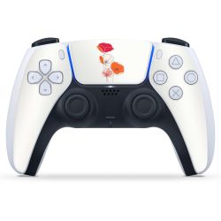 Foils for Controller matt