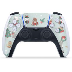 Foils for Controller matt