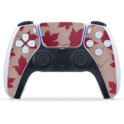 Foils for Controller matt