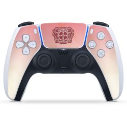 Folien für Controller matt