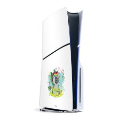 Folien für Spielekonsolen matt