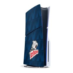 Folien für Spielekonsolen matt