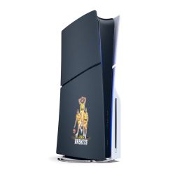 Folien für Spielekonsolen matt