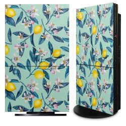 Folien für Spielekonsolen matt