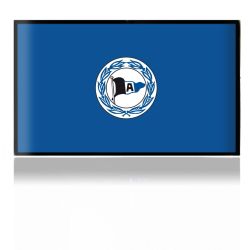 Folien für Spielekonsolen matt