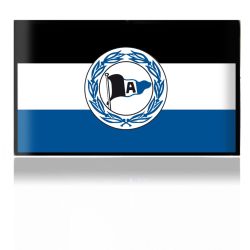 Folien für Spielekonsolen matt