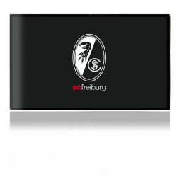 Folien für Spielekonsolen matt