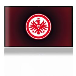 Folien für Spielekonsolen matt