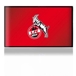 Folien für Spielekonsolen matt