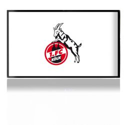 Folien für Spielekonsolen matt