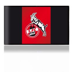 Folien für Spielekonsolen matt