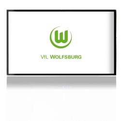 Folien für Spielekonsolen matt