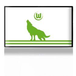 Folien für Spielekonsolen matt