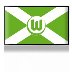 Folien für Spielekonsolen matt