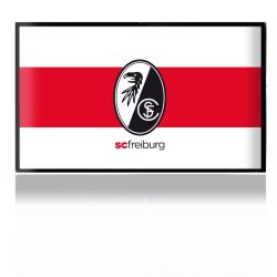 Folien für Spielekonsolen matt