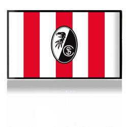 Folien für Spielekonsolen matt