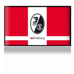 Folien für Spielekonsolen matt