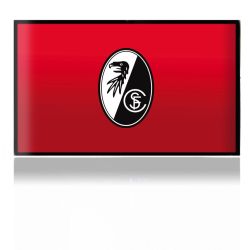 Folien für Spielekonsolen matt