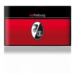 Folien für Spielekonsolen matt