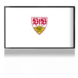 Folien für Spielekonsolen matt