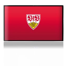 Folien für Spielekonsolen matt