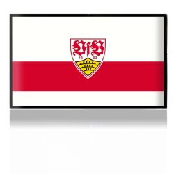 Folien für Spielekonsolen matt