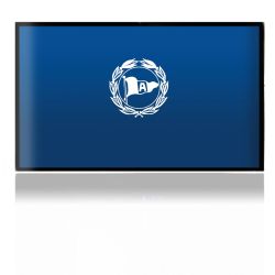 Folien für Spielekonsolen matt