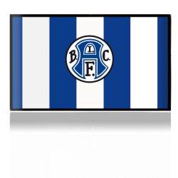 Folien für Spielekonsolen matt