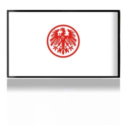 Folien für Spielekonsolen matt