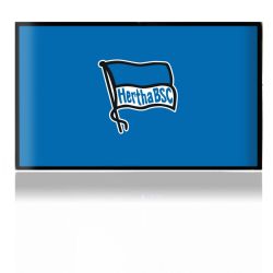 Folien für Spielekonsolen matt