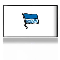 Folien für Spielekonsolen matt