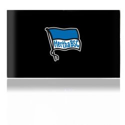 Folien für Spielekonsolen matt