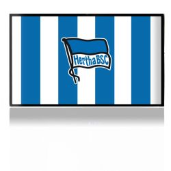 Folien für Spielekonsolen matt