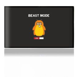 Folien für Spielekonsolen matt