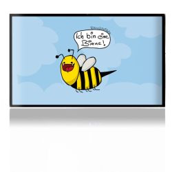 Folien für Spielekonsolen matt