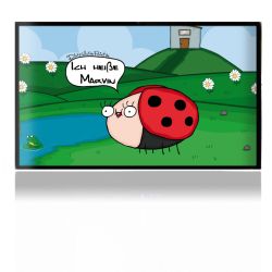 Folien für Spielekonsolen matt