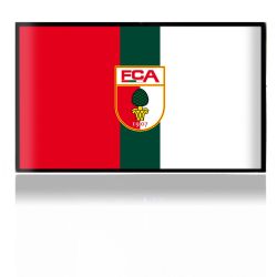 Folien für Spielekonsolen matt