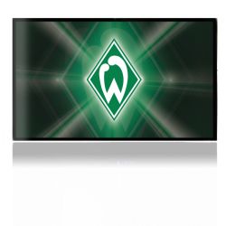 Folien für Spielekonsolen matt