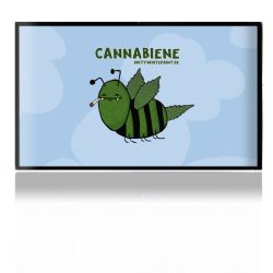 Folien für Spielekonsolen matt