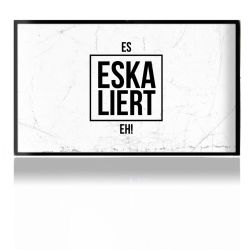 Folien für Spielekonsolen matt