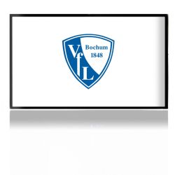 Folien für Spielekonsolen matt