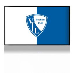 Folien für Spielekonsolen matt