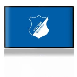 Folien für Spielekonsolen matt