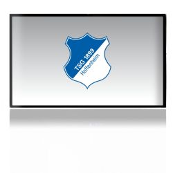 Folien für Spielekonsolen matt