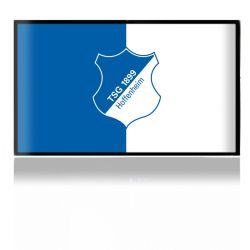 Folien für Spielekonsolen matt