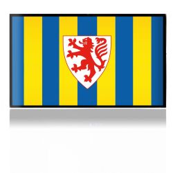 Folien für Spielekonsolen matt